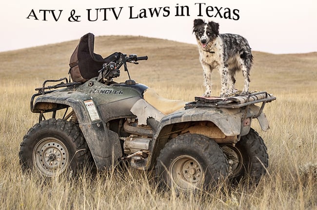 texas laws of ohv