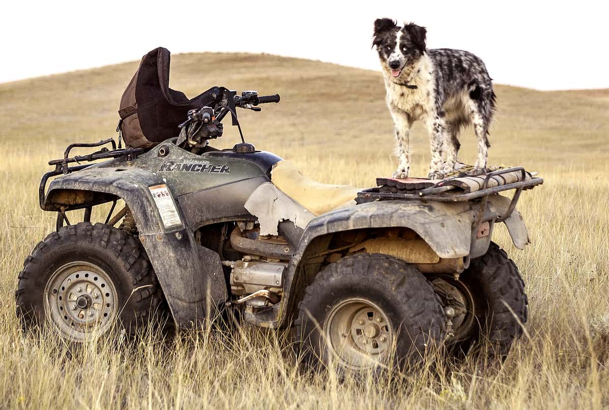 Is An ATV Or UTV Better For Farming or Ranching? – ATV MAN